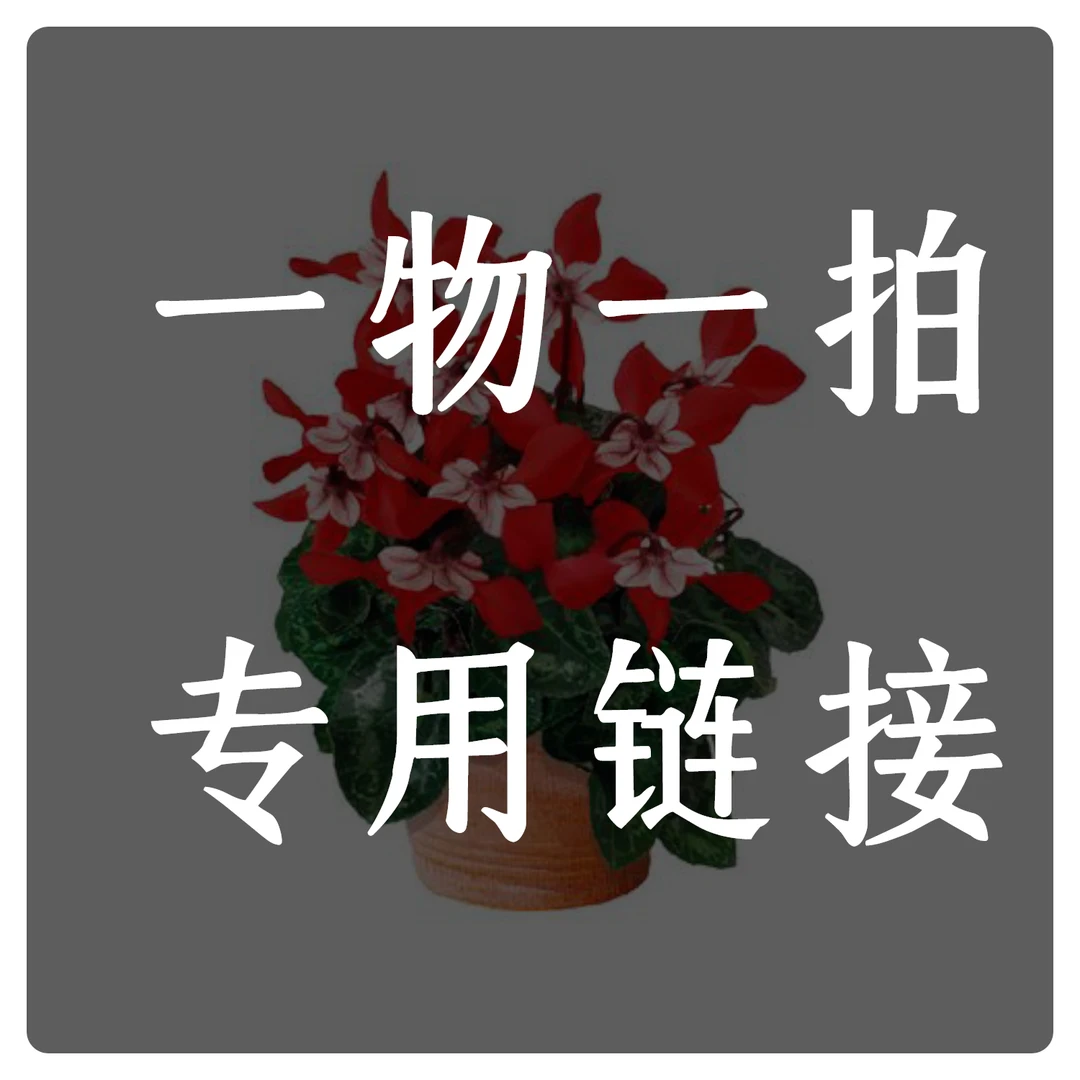 一物一拍专用链接    植绘空间  花卉绿植