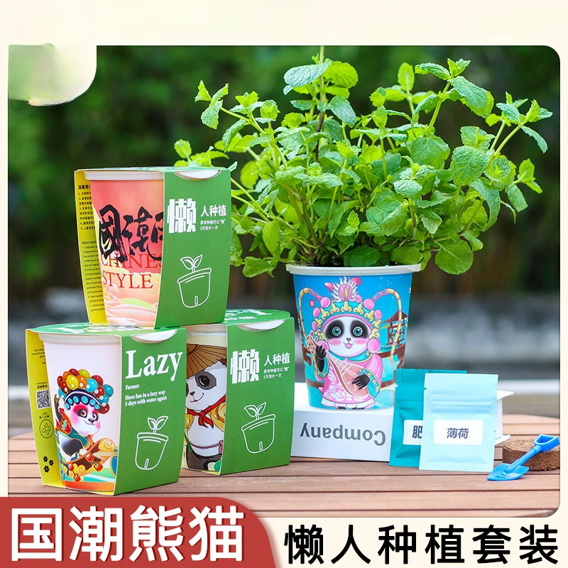 儿童种植套装蔬菜花花卉植物观察科学实验套装幼儿园礼品懒人自吸