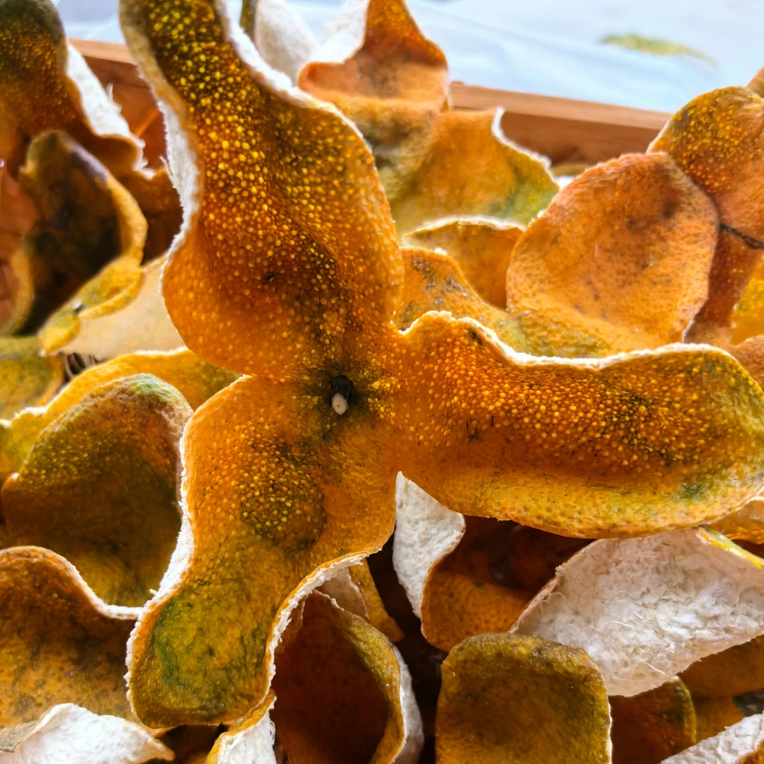 0020# 2023天马圈枝10年老树大红皮 新会核心产区收藏大红皮