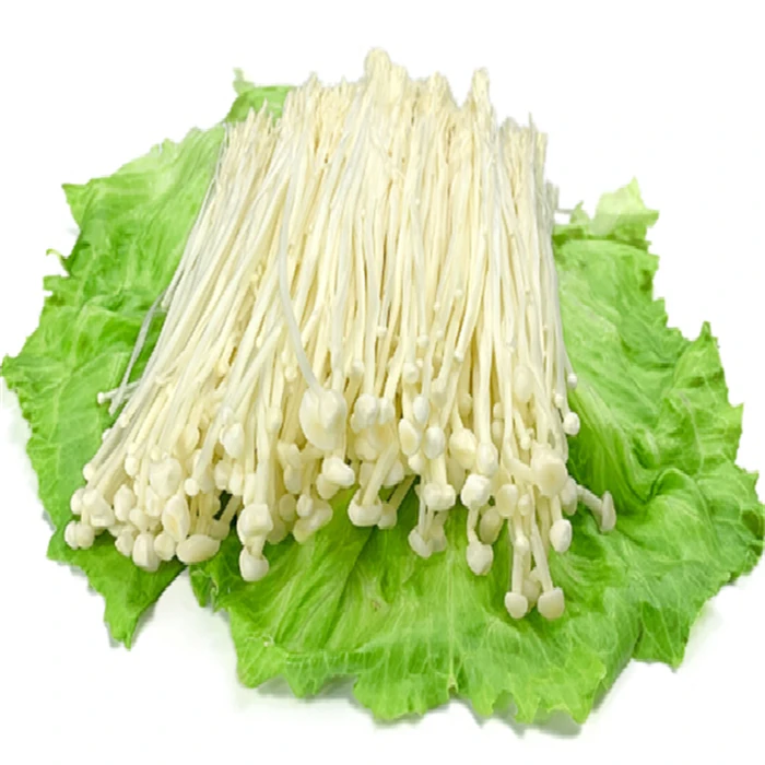 新鲜金珍菇 约250g