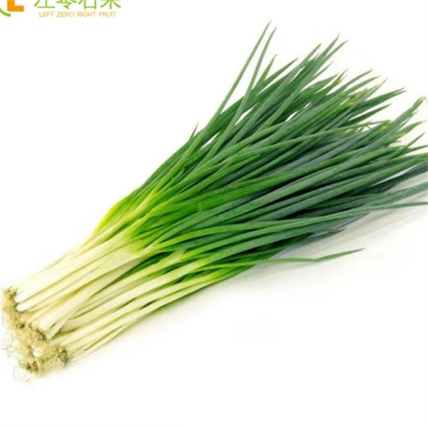 【免费商品一单只有2份介意勿拍】小香葱   约50g（免费商品5选2）