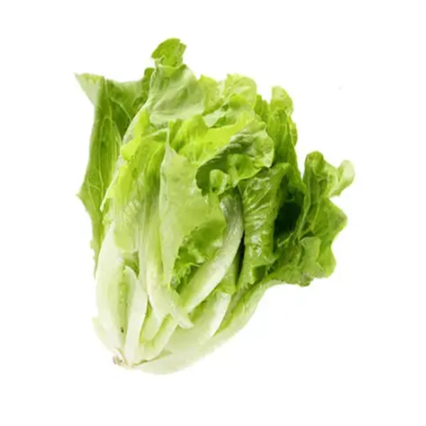 【农家】生菜 约250g