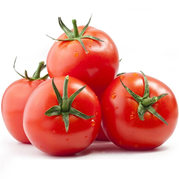 新鲜农家西红柿1个 约250g番茄同城配