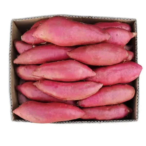 新鲜 红薯 两个（加送2个！）250克