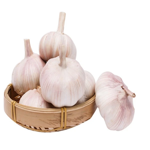 【免费商品一单只有2份介意勿拍】【精品】大蒜头1个 约25g(免费商品5选2)