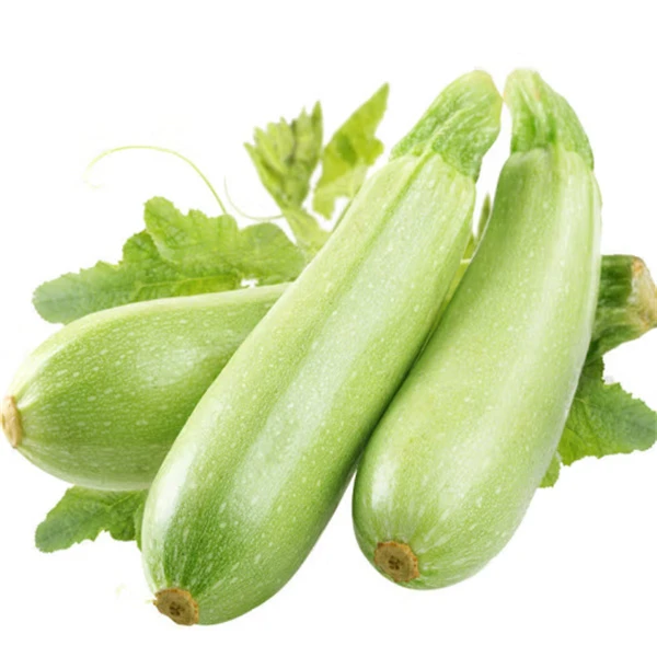 【优质】西葫芦 约500g