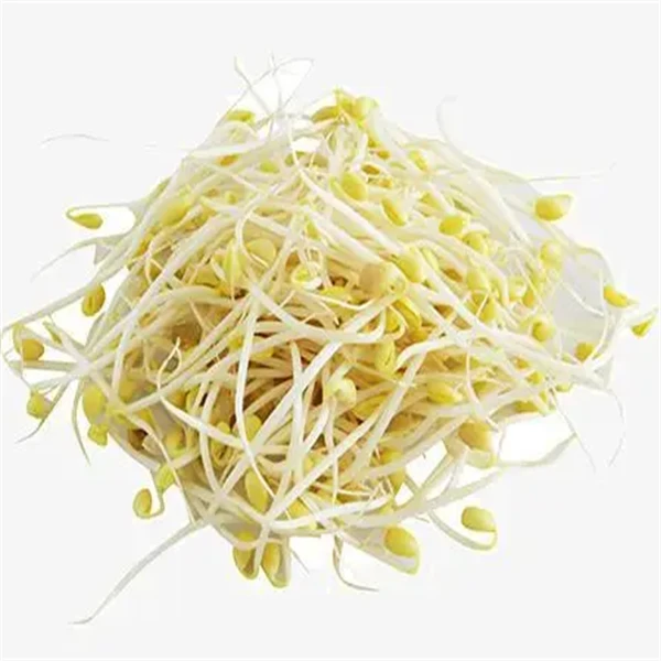【农家】新鲜黄豆芽 约250g