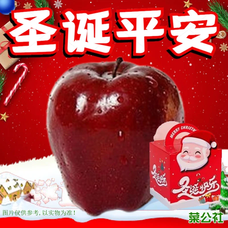 【圣诞苹果】蛇果/花牛苹果 1个约230g  （圣诞包装）