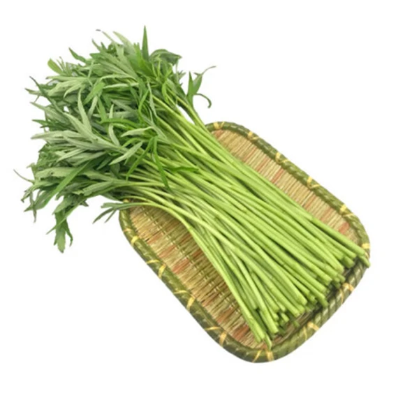 【精选】黎蒿 约250g