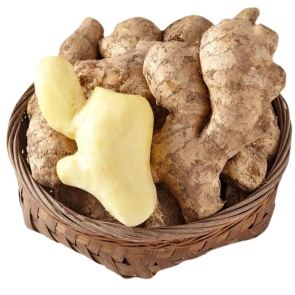 【免费商品一单只有2份介意勿拍】精选生姜 约100g（免费商品5选2）