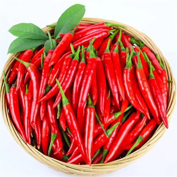 【农家】小红米椒 约50g