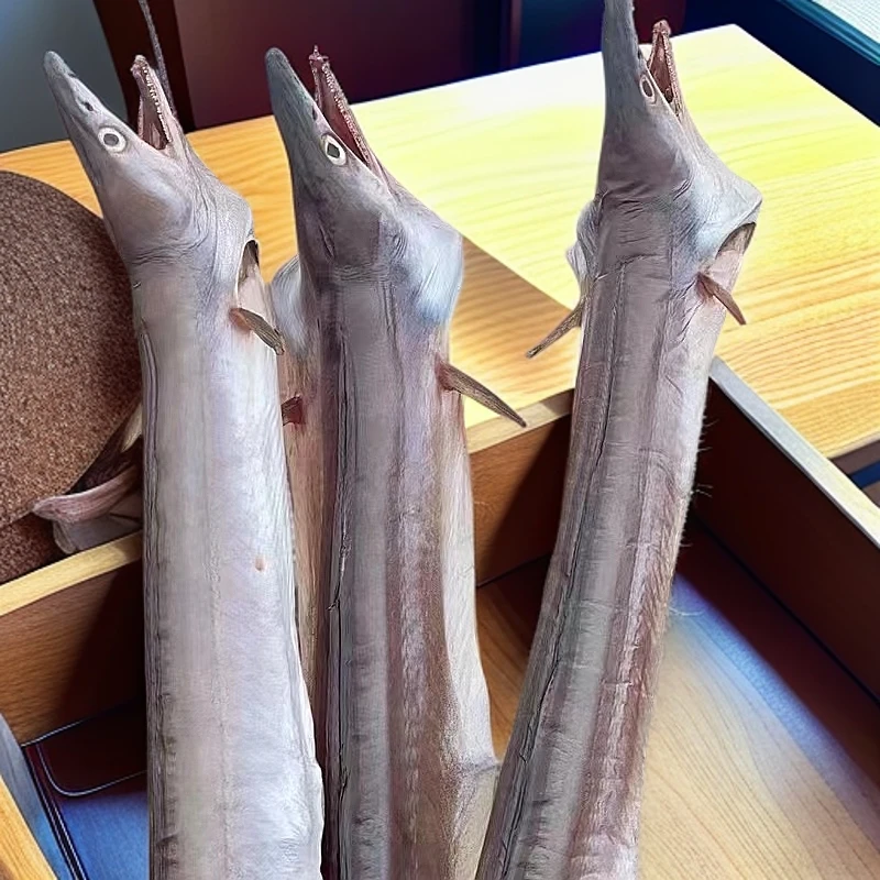 舟山风鳗筒新鲜淡晒半干海鲜特产大风鳗鱼整条鳗鱼（7-9两/条）