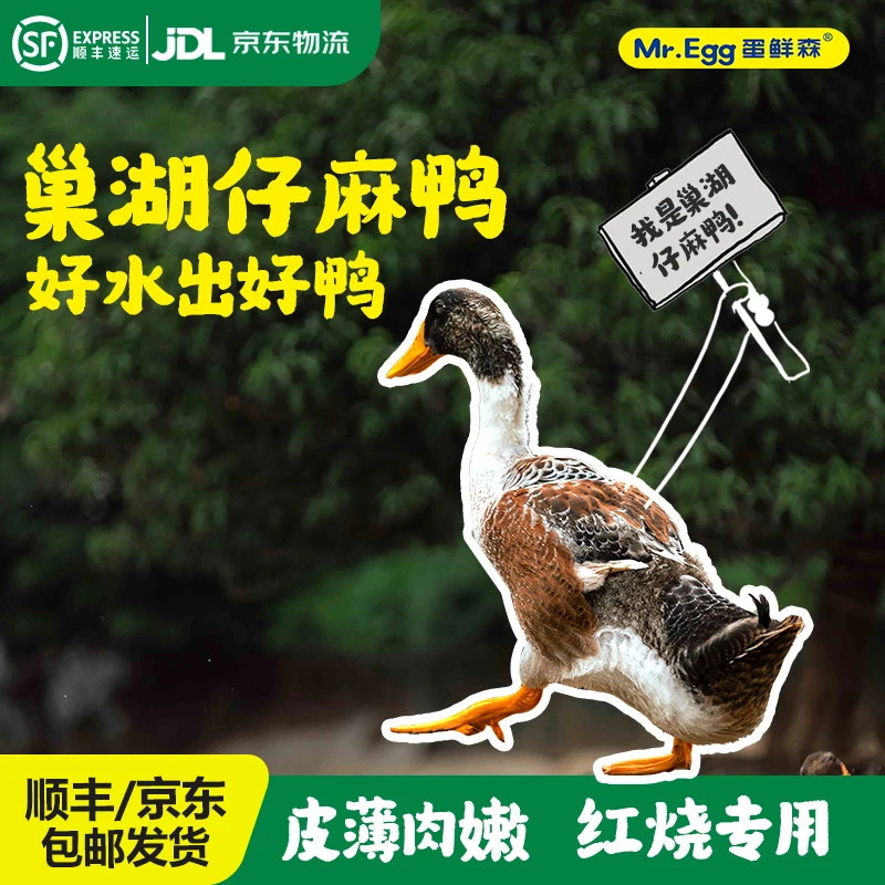 巢湖仔麻鸭肉质紧实净膛土鸭散养顺丰包邮净重1000g以上
