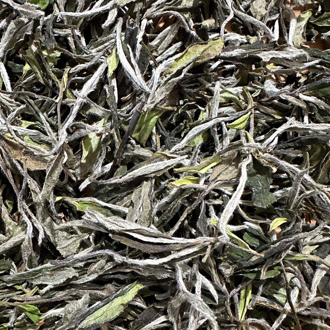 2024年雪后一级牡丹 福鼎白茶磻溪产品 花香毫香牡丹 251g/500g