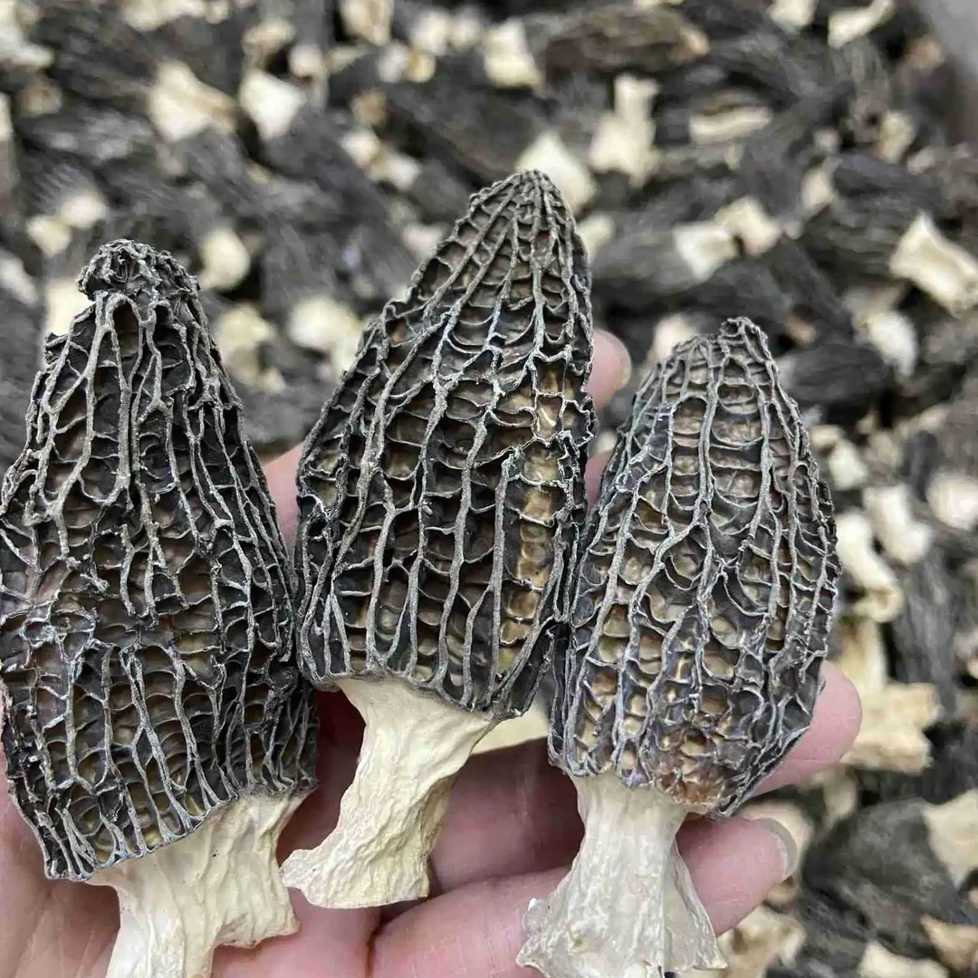 【半斤装】农家羊肚菌蔬菜山货土货农产品ZZ