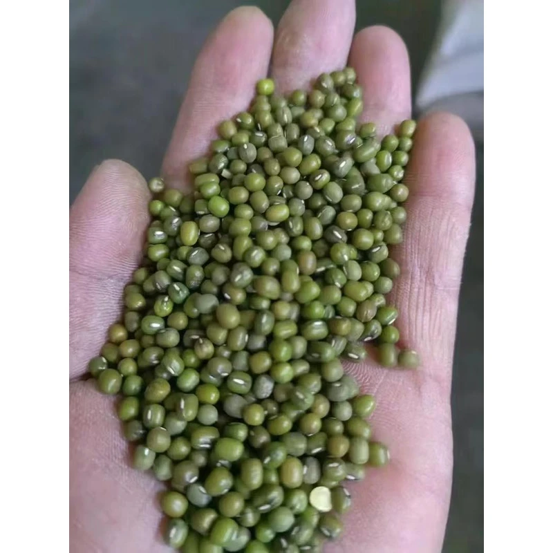 【绿豆】农村新绿豆山货土货干货