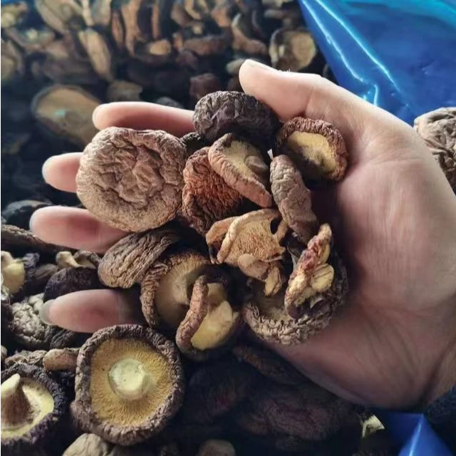 【干香菇】农村干香菇山货土货干货