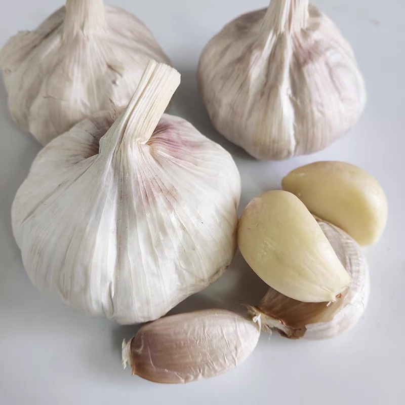 【大蒜】农村大蒜山货土货干货