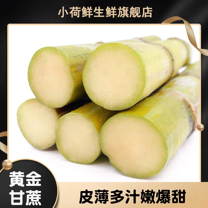 云南版纳黄金甘蔗5/9斤时令新鲜水果爆甜多汁