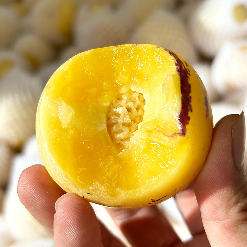 【小荷鲜】云南人参果3斤/4斤/5斤单果80-160g