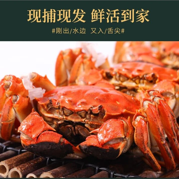 精品9指蟹王蟹后保活到家顺丰包邮