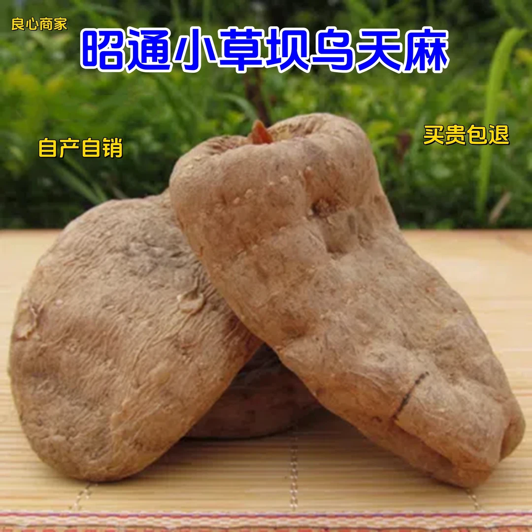 云南昭通高山老天麻买100克送100克  大小都有