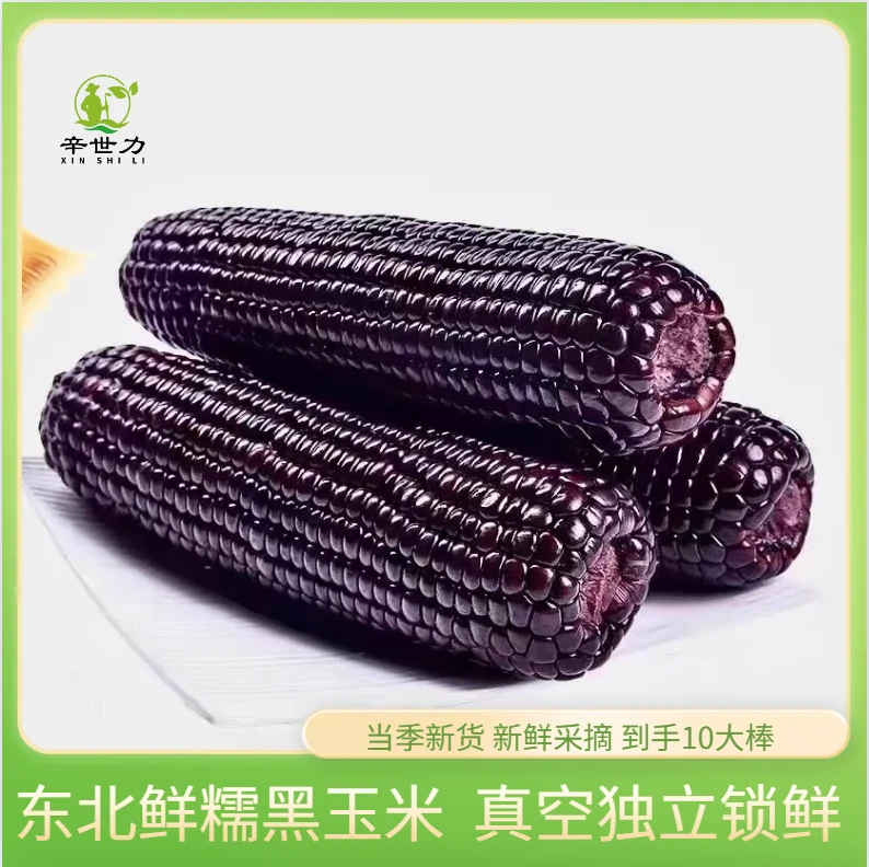 东北黑土地甜糯玉米 白糯 黑糯玉米 单个260-320g 一整箱