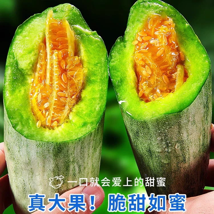 【京东/顺丰包邮】山东头茬羊角蜜4.5斤脆甜多汁甜瓜蜜瓜新鲜水果