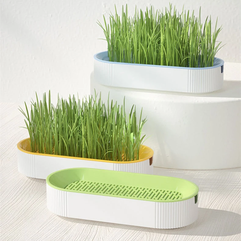 2026新款宠物用品猫咪零食猫薄荷种植水培盒猫草盆水培猫草盒套装