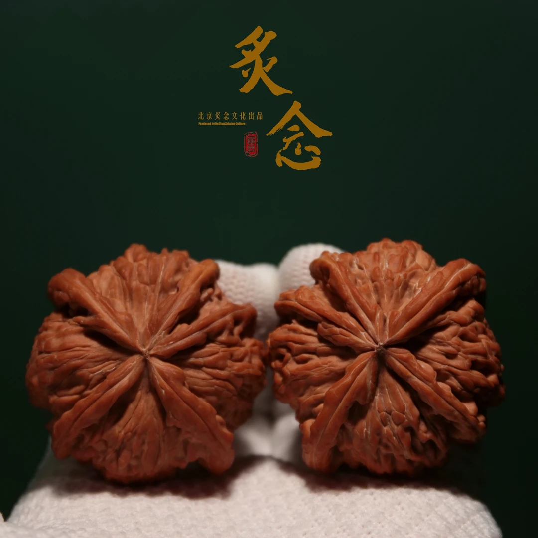 白狮子正五棱 · 47-45-31 高端文玩核桃 一物一图 文玩好物