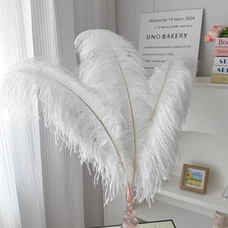 H H 花店花束装饰配件白色鸵鸟羽毛网红花束包装材料包花羽毛