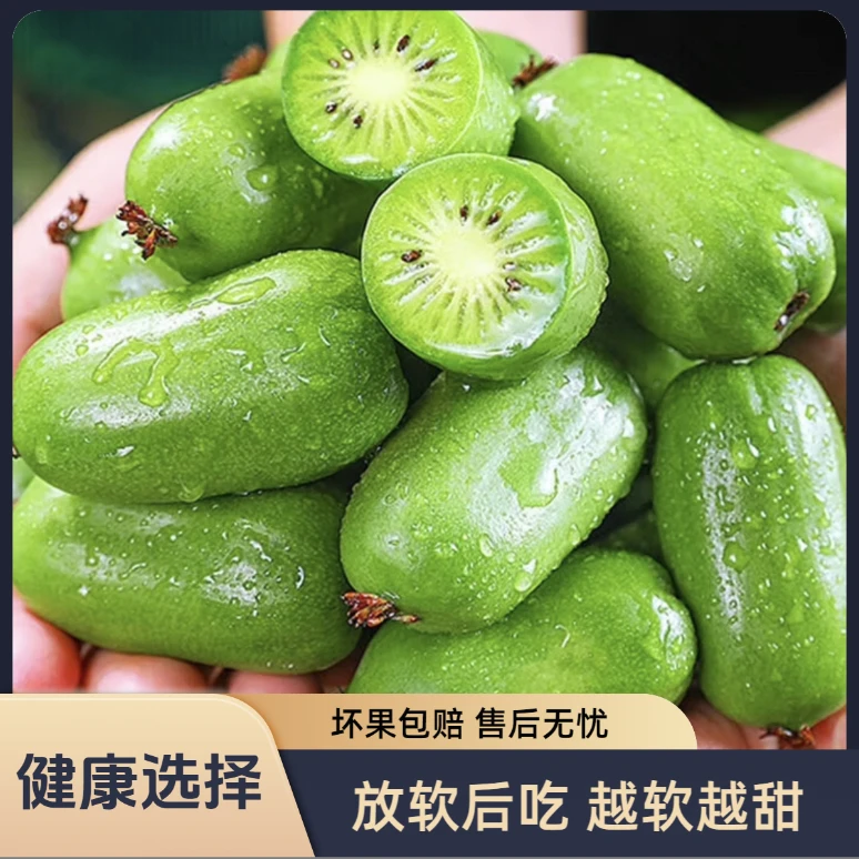 丹东软枣猕猴桃单果15g大果2/3斤装（放软后食用）