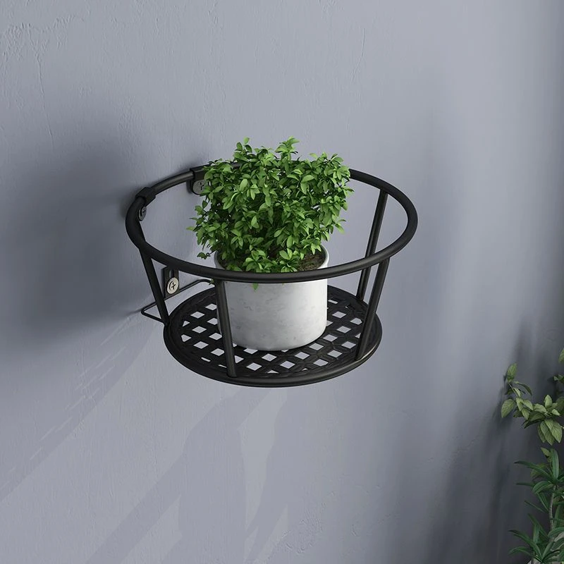 欧式铁艺升级加粗款绿萝吊兰壁挂打孔花架免打孔花架室内装饰挂