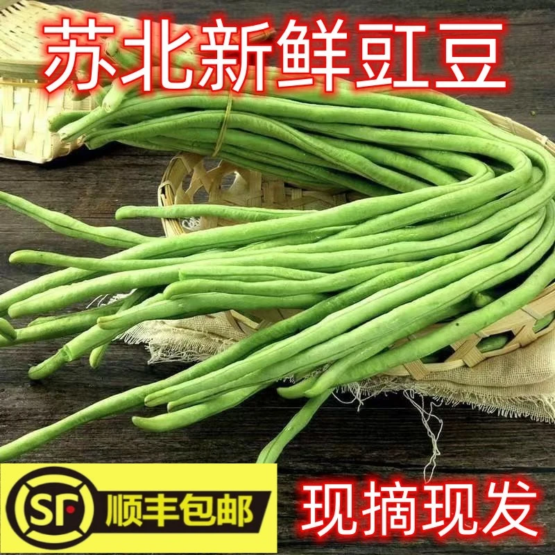 【顺丰包邮】苏北农家自种新鲜豇豆长豆角脆嫩蔬菜青油豆5斤包邮