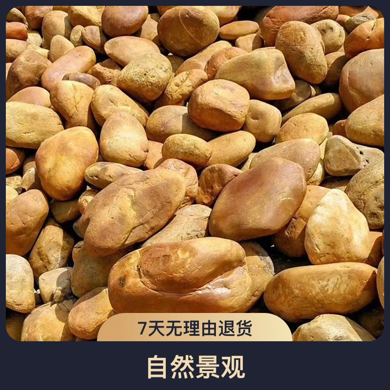 鹅卵石黄腊石石子原石石头草地石景观石