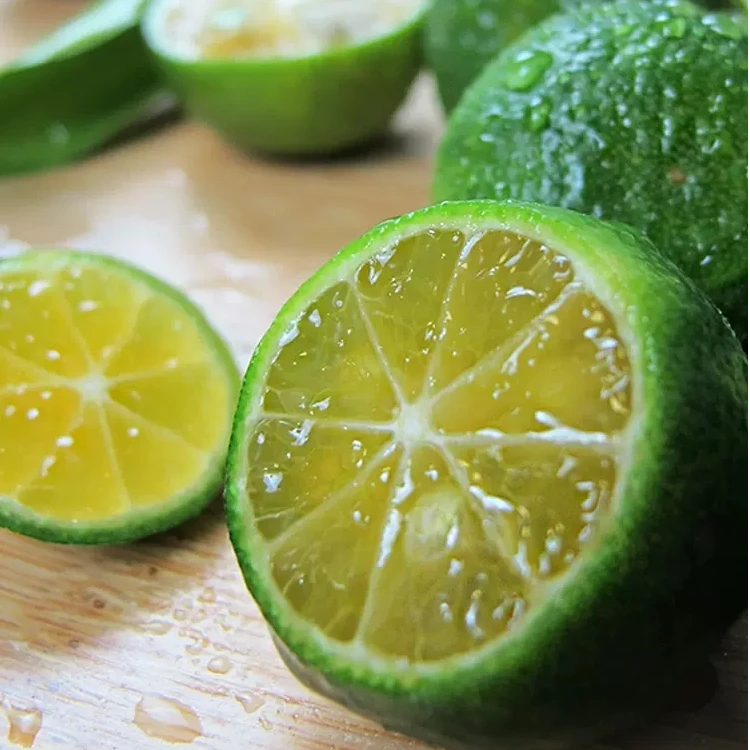 芒十二海南小青桔子小柠檬金橘小金桔新鲜奶茶店专用皮薄多汁香甜