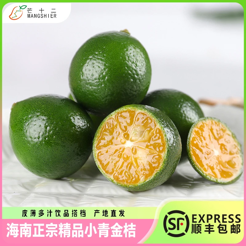 芒十二海南小金桔新鲜水果当应季青金桔优质精品皮薄保鲜采摘组合