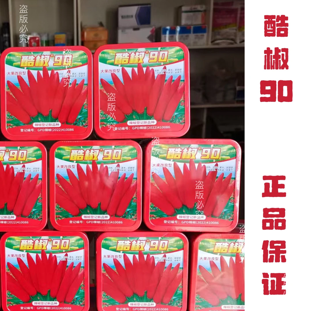 【海红农资】全新升级酷椒90 早熟高产抗病抗倒一盒一亩