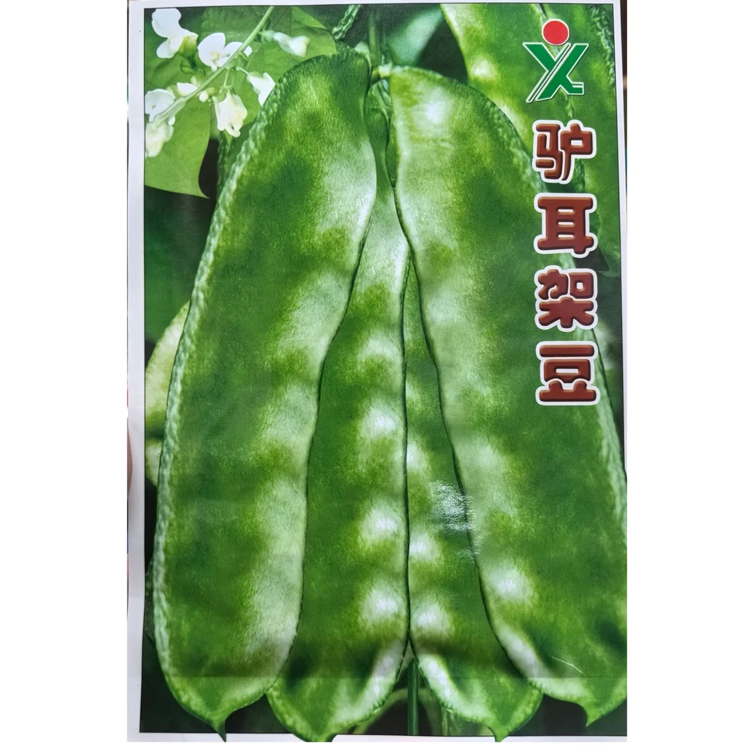 紫边眉豆种子 扁豆角 边边红眉豆好吃易种耐寒爬藤蔬菜种子耐旱