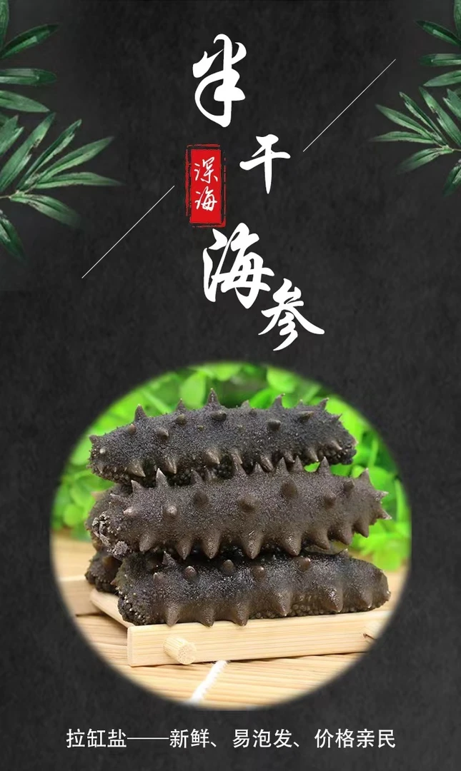 【丽丽推荐】拉缸盐半干海参500g/40头左右 //青岛发货品质
