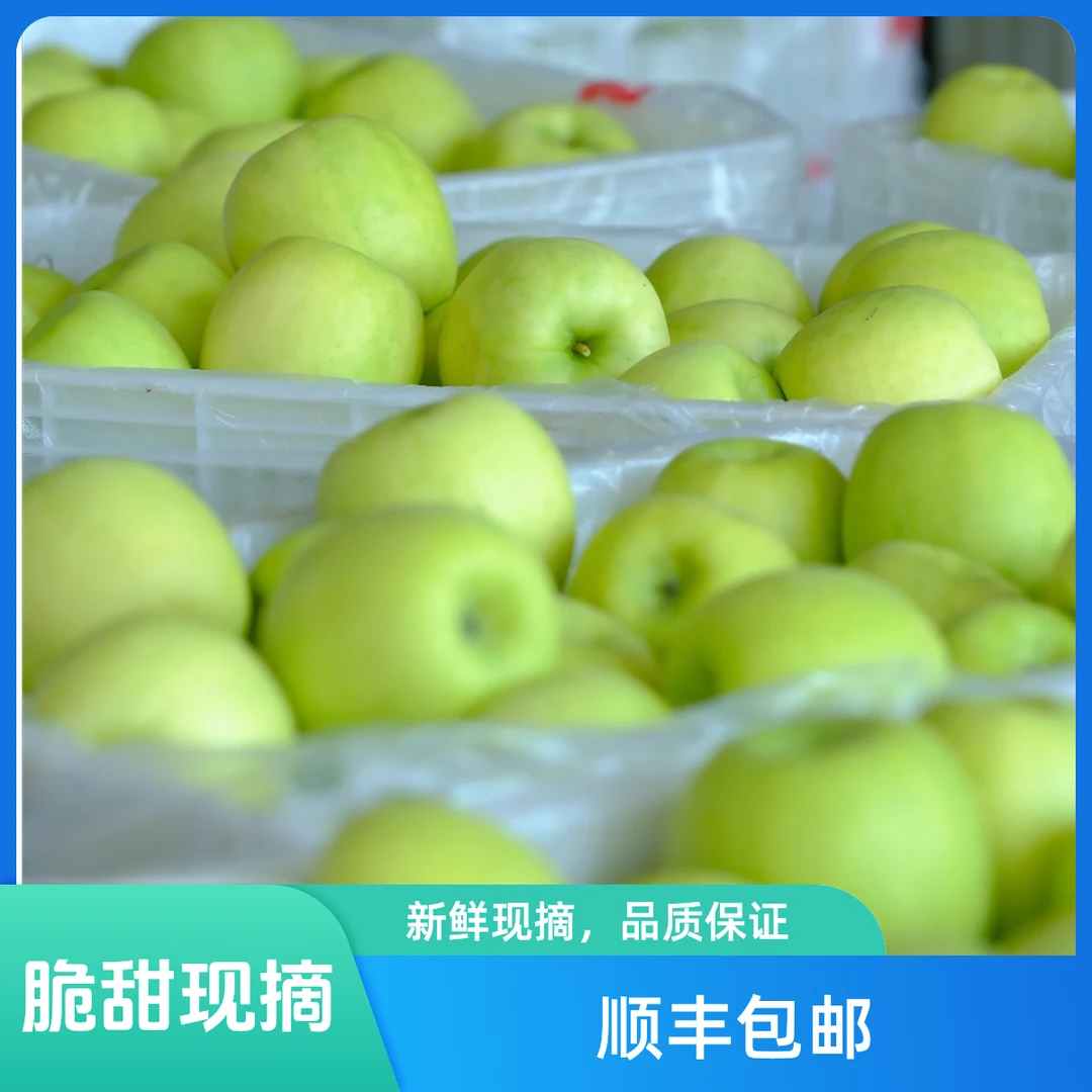 陕西白水正宗2024年高端高档稀有瑞雪苹果脆甜新鲜产地直发包邮