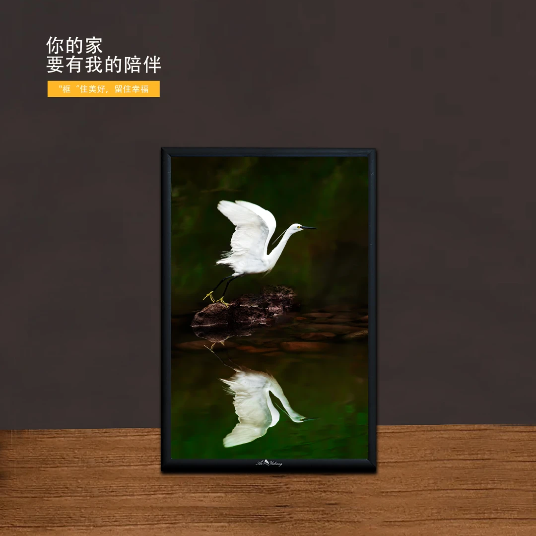 白鹭（照福）3D立体铝合金相框画（哑光黑）高贵多种拍摄自然视觉