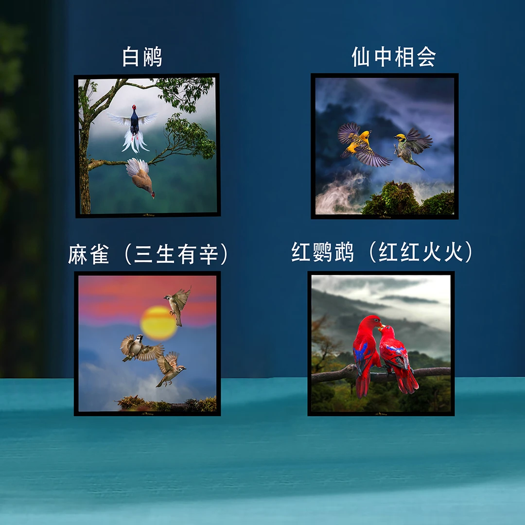 铝合金框组合（四合一）裸眼3D艺术实木画框艾雅康摄影作品野生鸟类