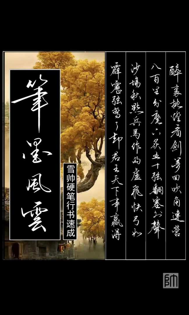 笔墨风云套餐（9376双笔+笔墨风云字帖+皮革垫+50张纸）