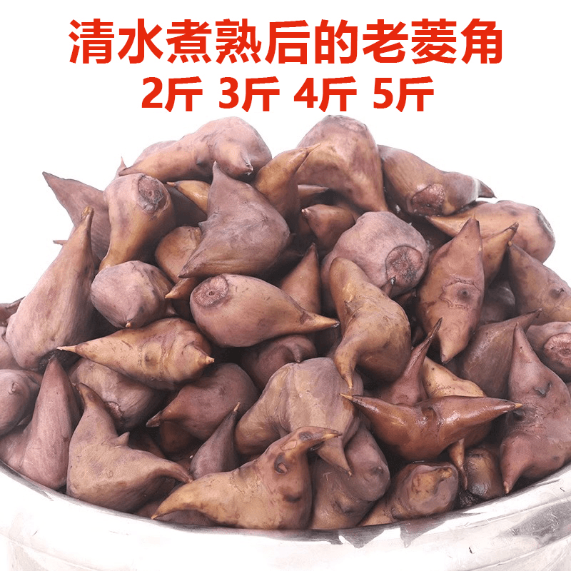 现摘新鲜老菱角2斤3斤 4斤 5斤装带壳苏北老嫩菱角香甜脆面菱角米