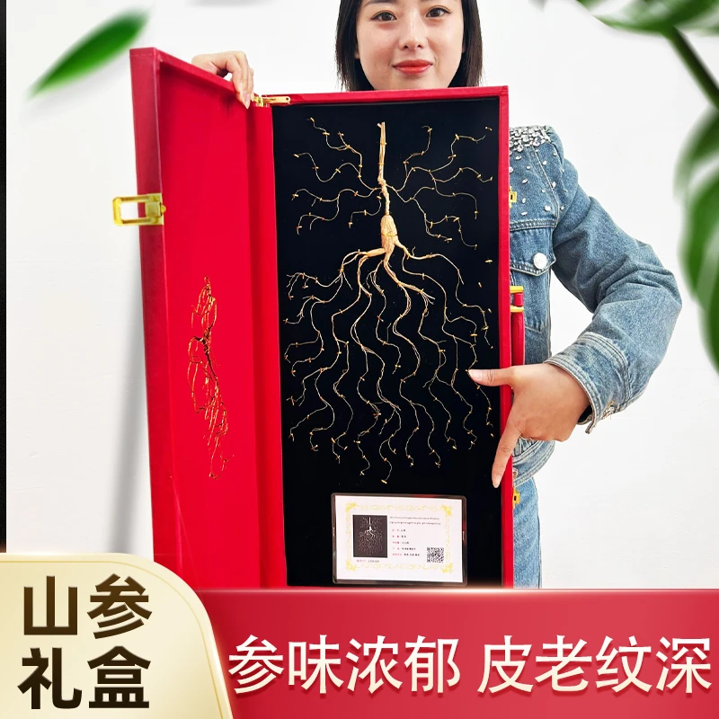 60礼盒黑板--东北长白山人参礼盒装山参林下参中秋送礼东北林下参