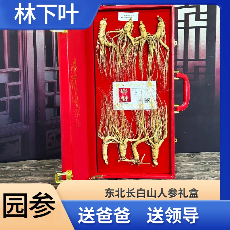 60板园参（横排8只）--东北长白山人参礼盒煲汤泡酒生晒参