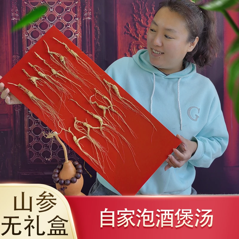 散装--东北长白山人参生晒人参山参林下参煲汤泡酒煮茶中秋送礼
