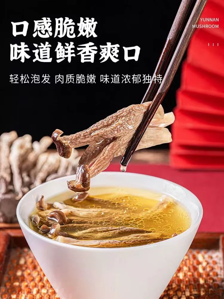 精选优质鹿茸菇净重新鲜脆脆菇当季新货口感鲜香美味爽口干锅爆炒