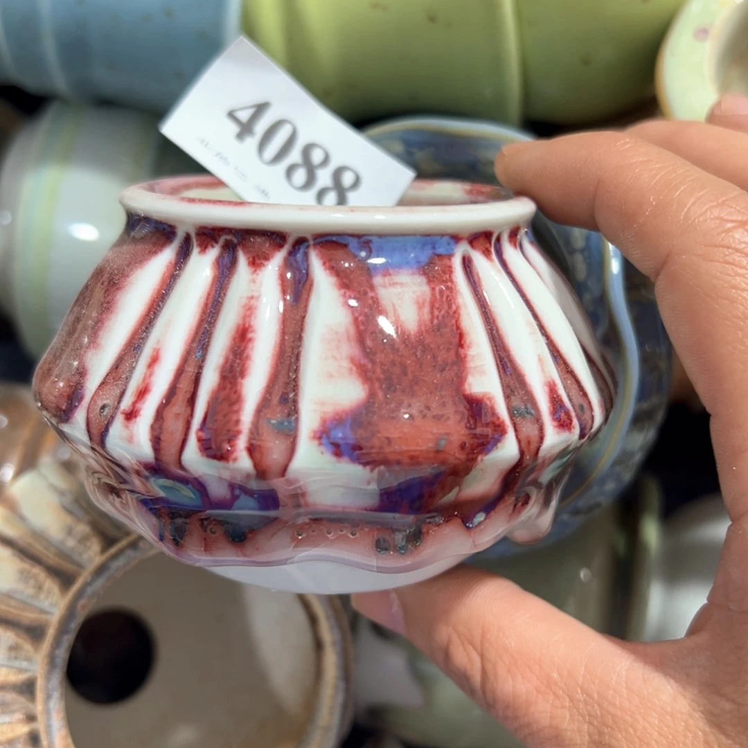 红陶20CM（含）-50CM（不含）